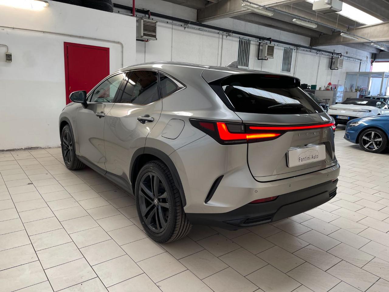 NX 350h 5