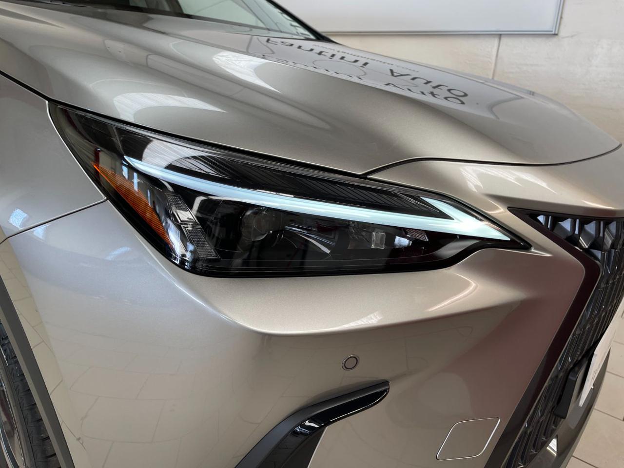 NX 350h 7