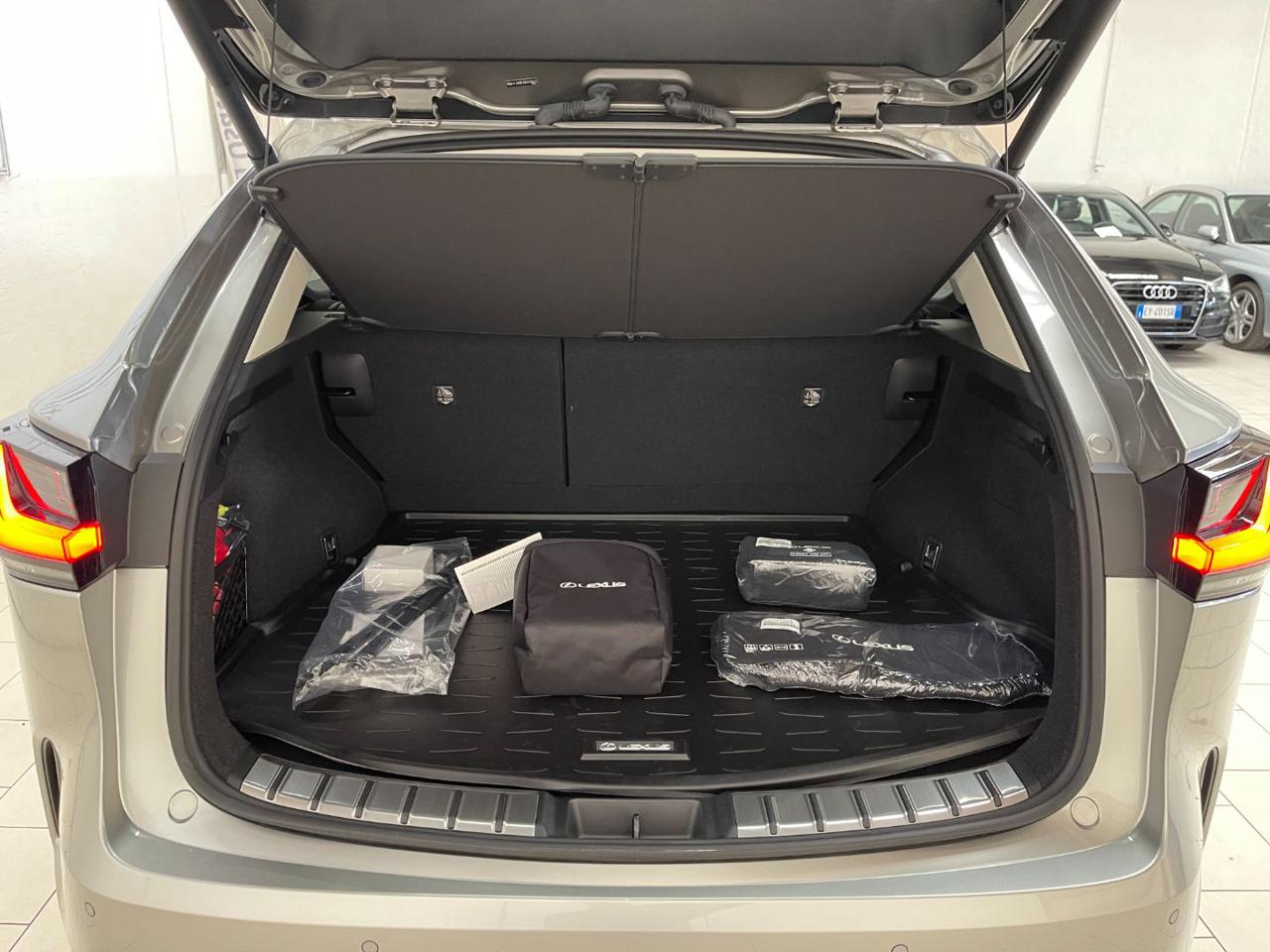 NX 350h 13