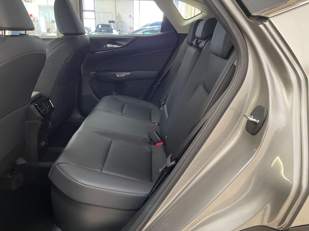 NX 350h 12