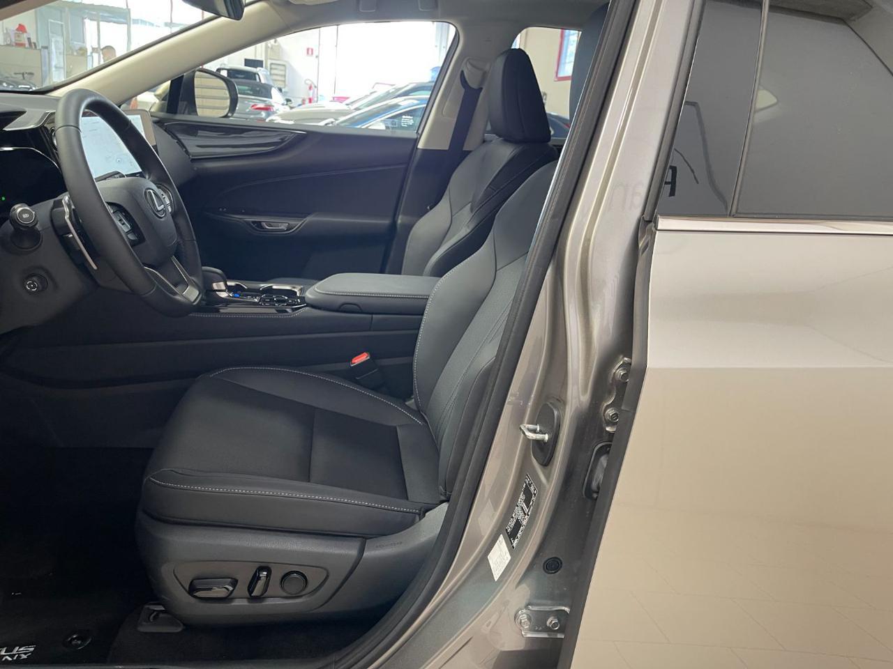 NX 350h 10
