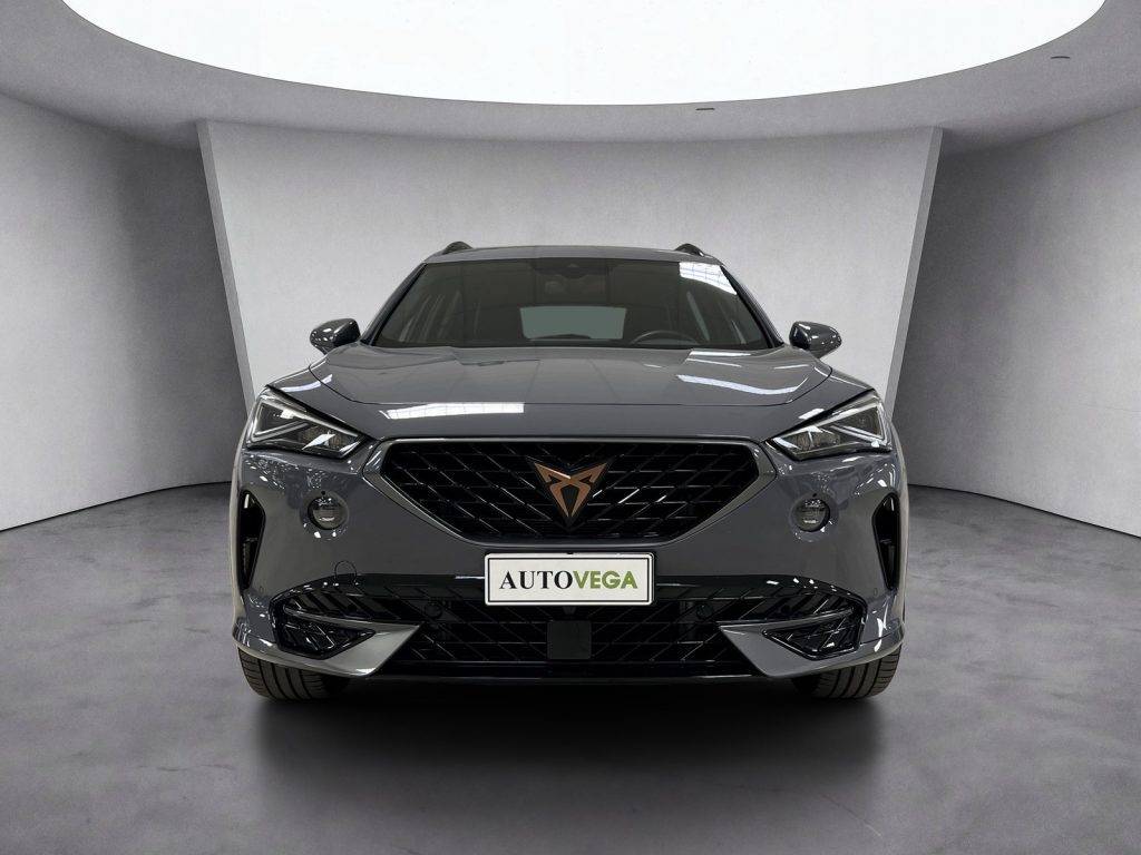 CUPRA Formentor 1.5 tsi 150cv dsg - 3