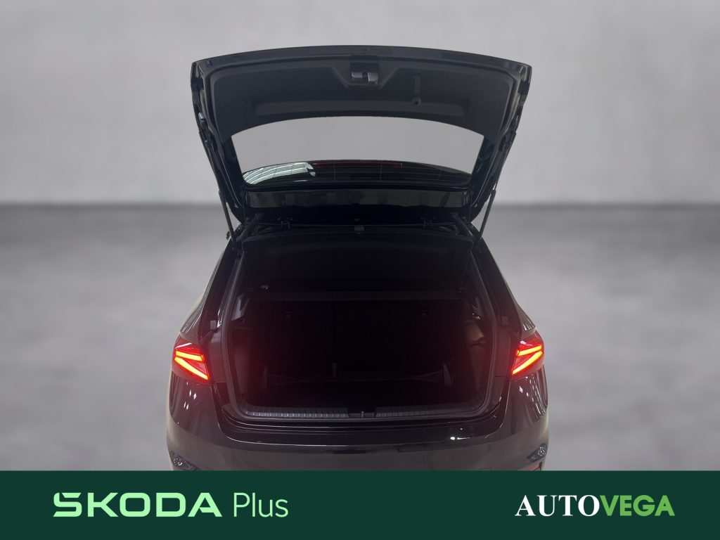SKODA Fabia 1.0 tsi monte carlo 115cv dsg - 17