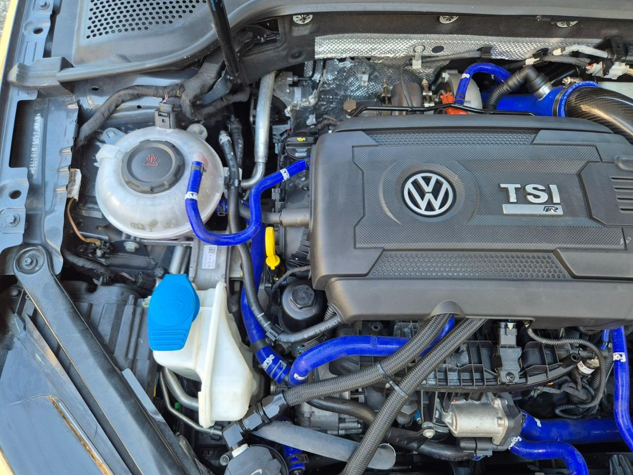 VOLKSWAGEN Golf R 2.0 TSI 4MOTION 5p. BMT - 790 CV - 24