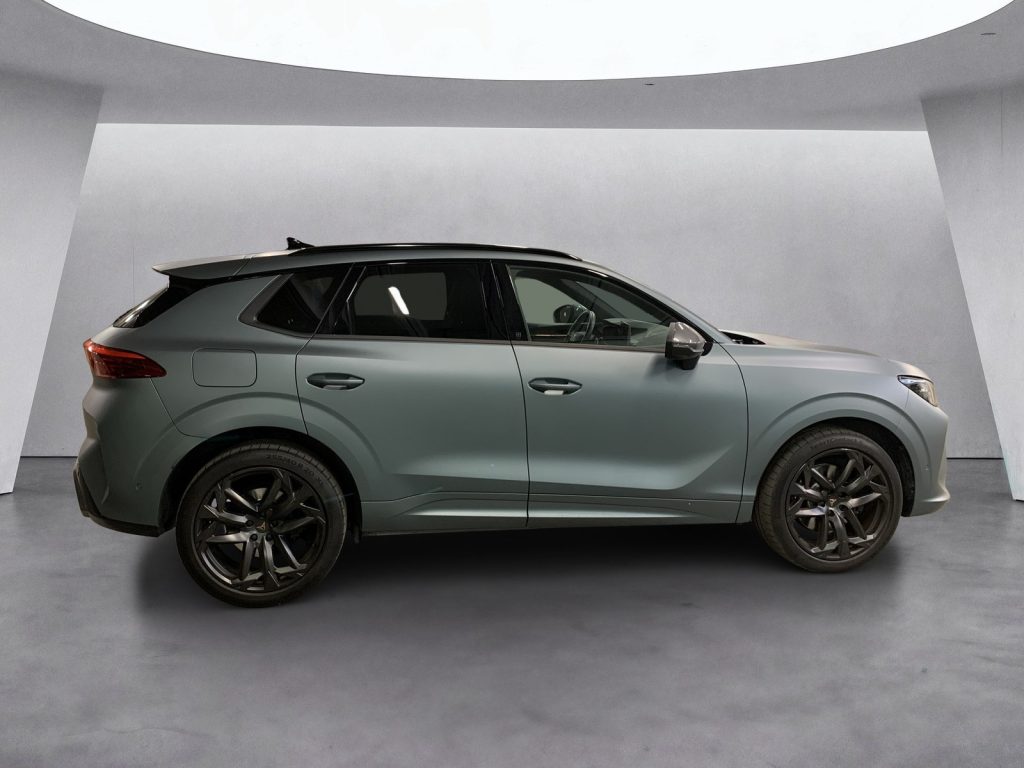 CUPRA Terramar 2.0 tsi americas cup limited edition 4drive 265cv - 6