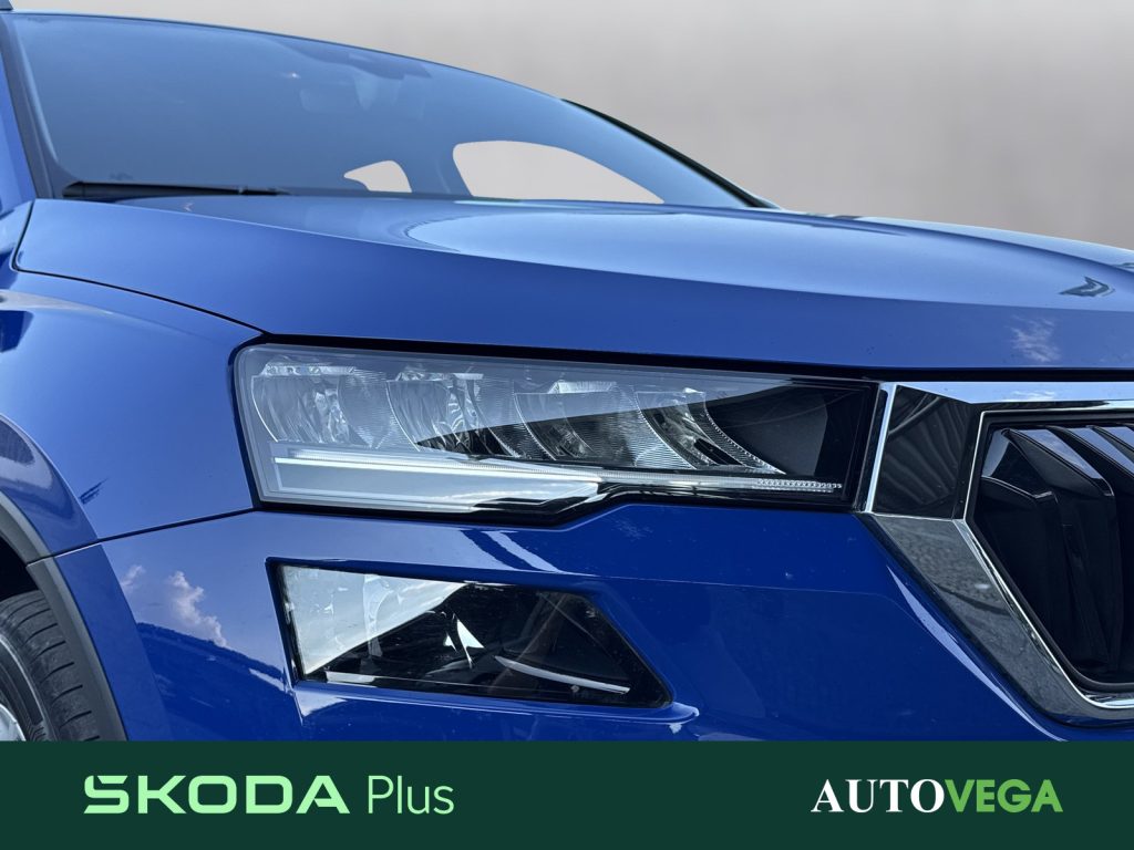 SKODA Karoq 2.0 tdi executive 115cv - 19