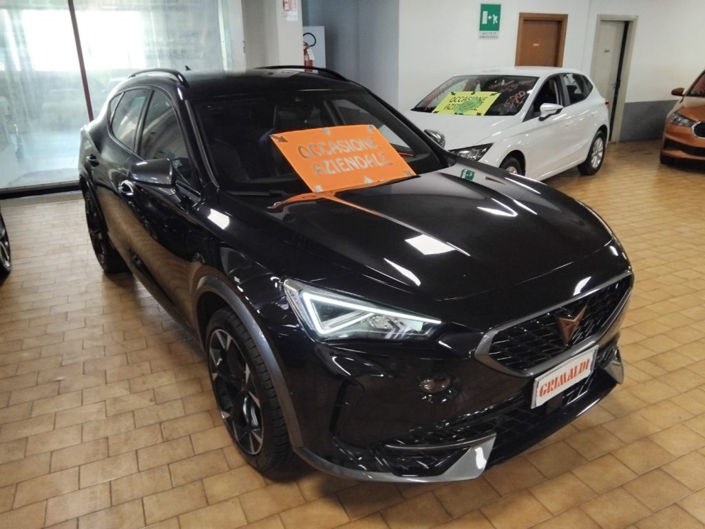 CUPRA Formentor 1.5 TSI DSG 19 VIDEO - 2