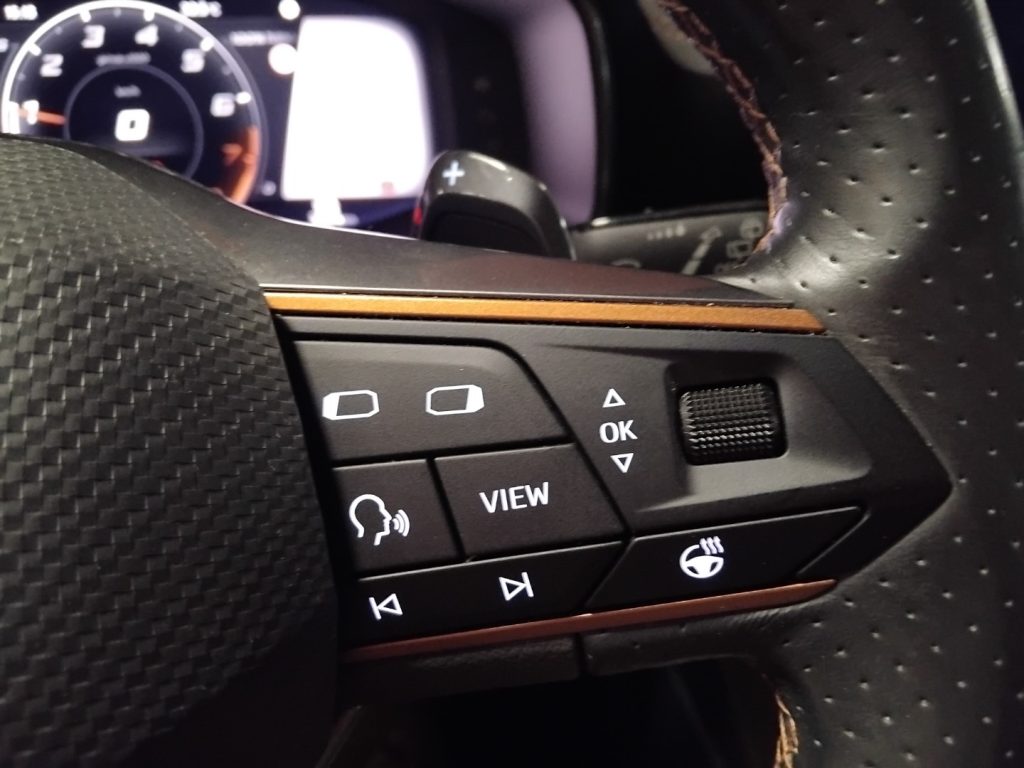 CUPRA Formentor 1.5 TSI DSG 19 VIDEO - 22