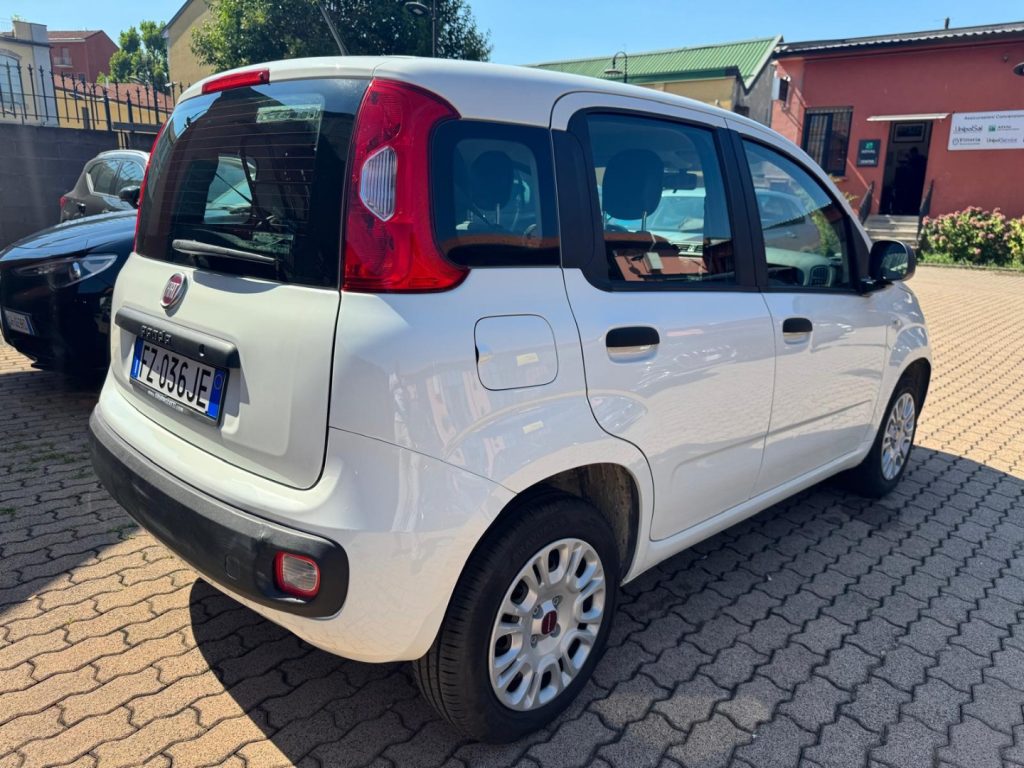 FIAT Panda 1.2 Easy Van 4 posti (AUTOCARRO N1) - 4