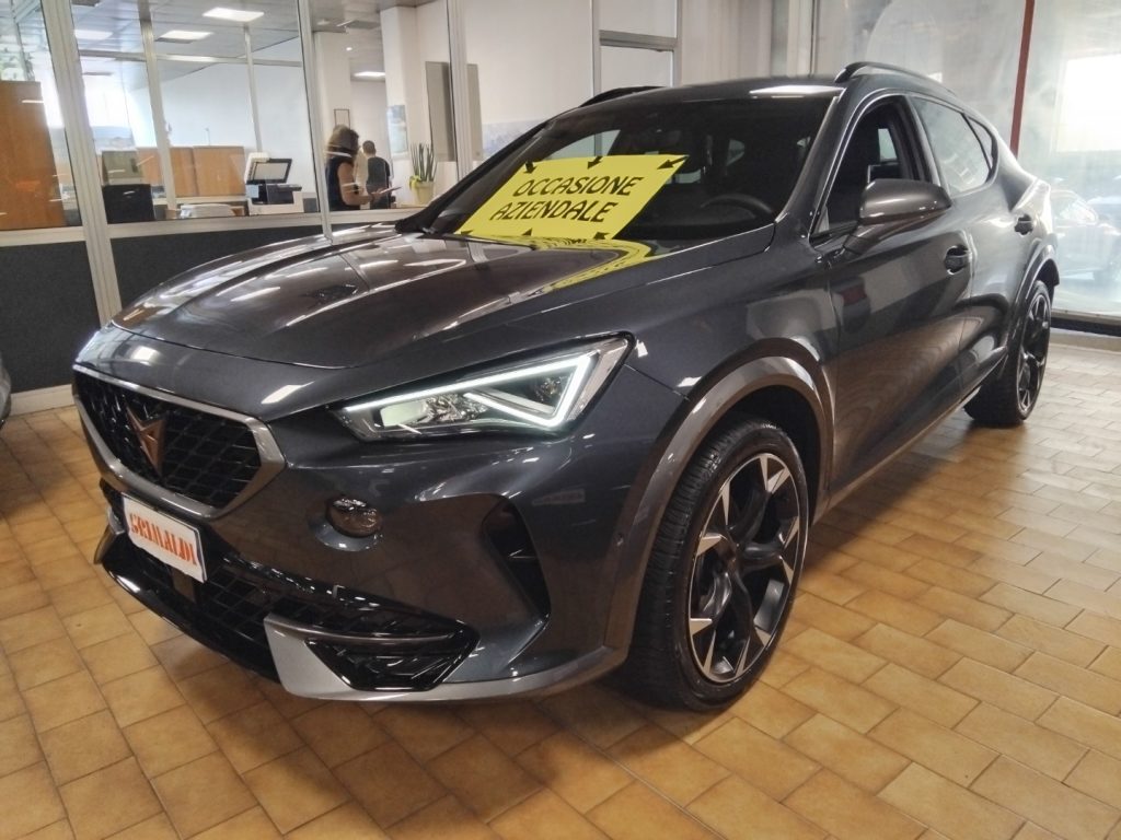 CUPRA Formentor 1.5 TSI 19 VIDEO C/GRIMALDI SPECIAL DAY - 3