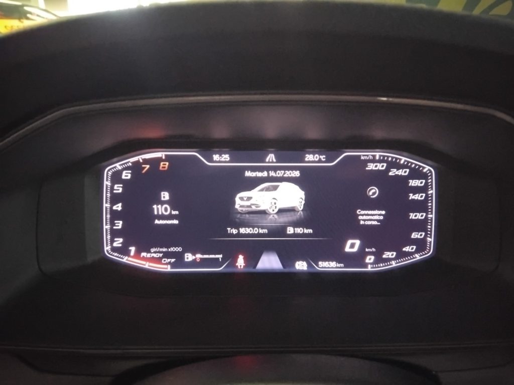 CUPRA Formentor 1.5 TSI 19 VIDEO C/GRIMALDI SPECIAL DAY - 17