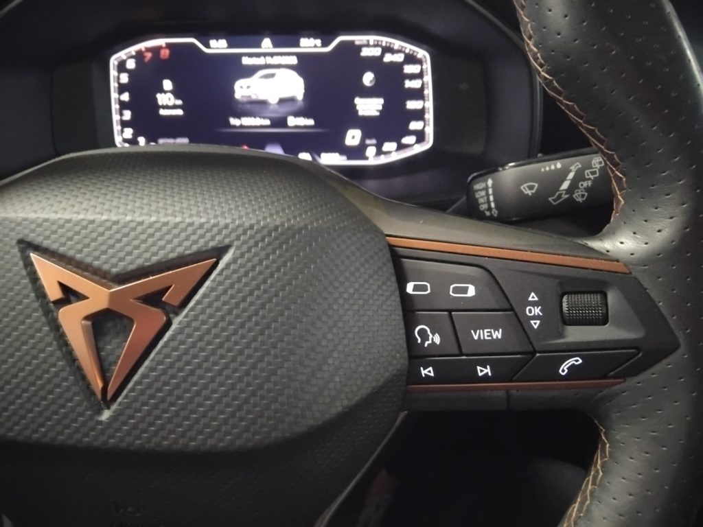 CUPRA Formentor 1.5 TSI 19 VIDEO C/GRIMALDI SPECIAL DAY - 18