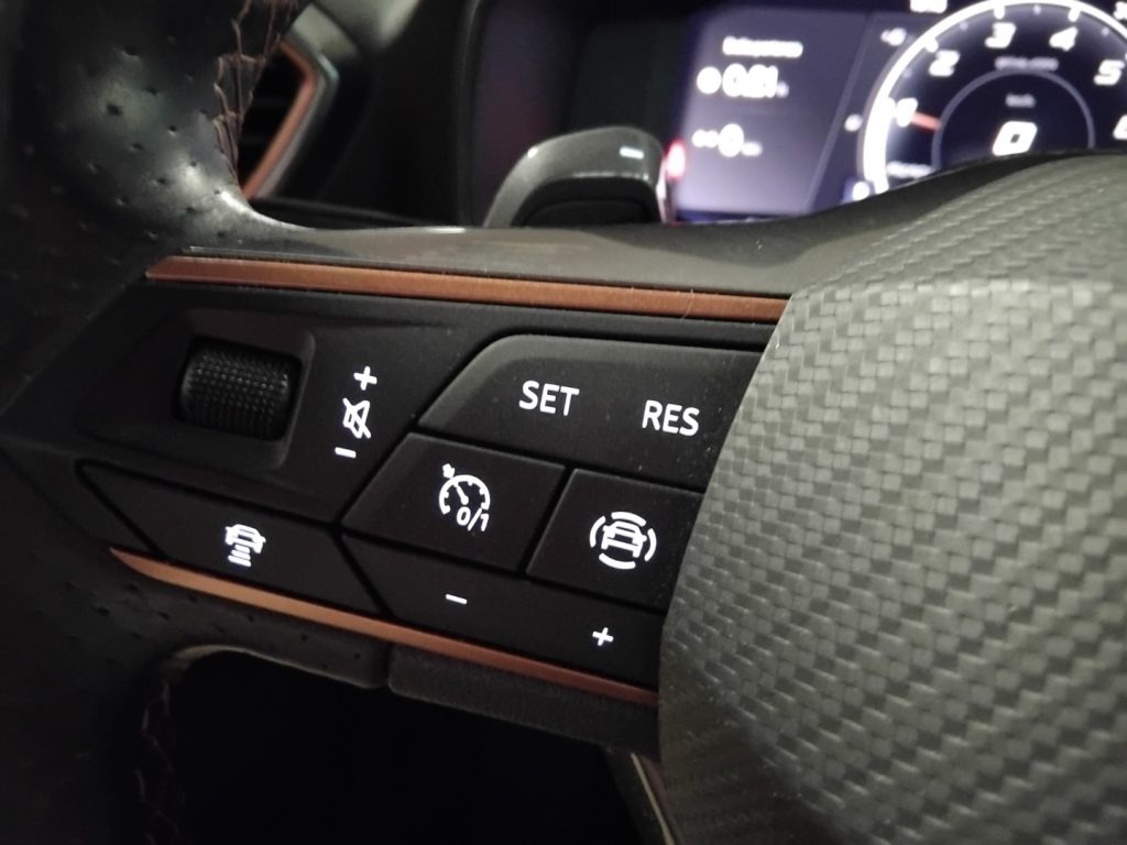 CUPRA Formentor 1.5 TSI DSG 19 VIDEO C/GRIMALDI SPECIAL DAY - 23