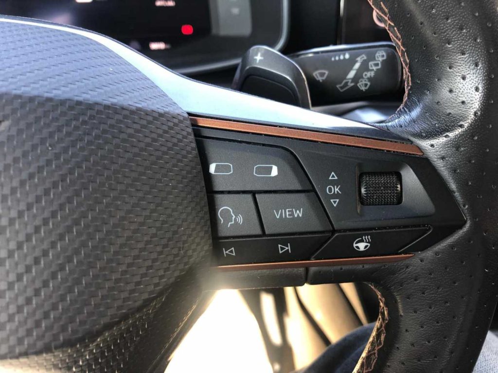 CUPRA Leon 2.0 TDI 150 CV DSG - 13