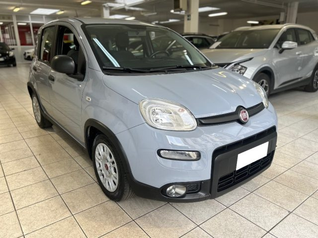 FIAT Panda Grigio pastello
