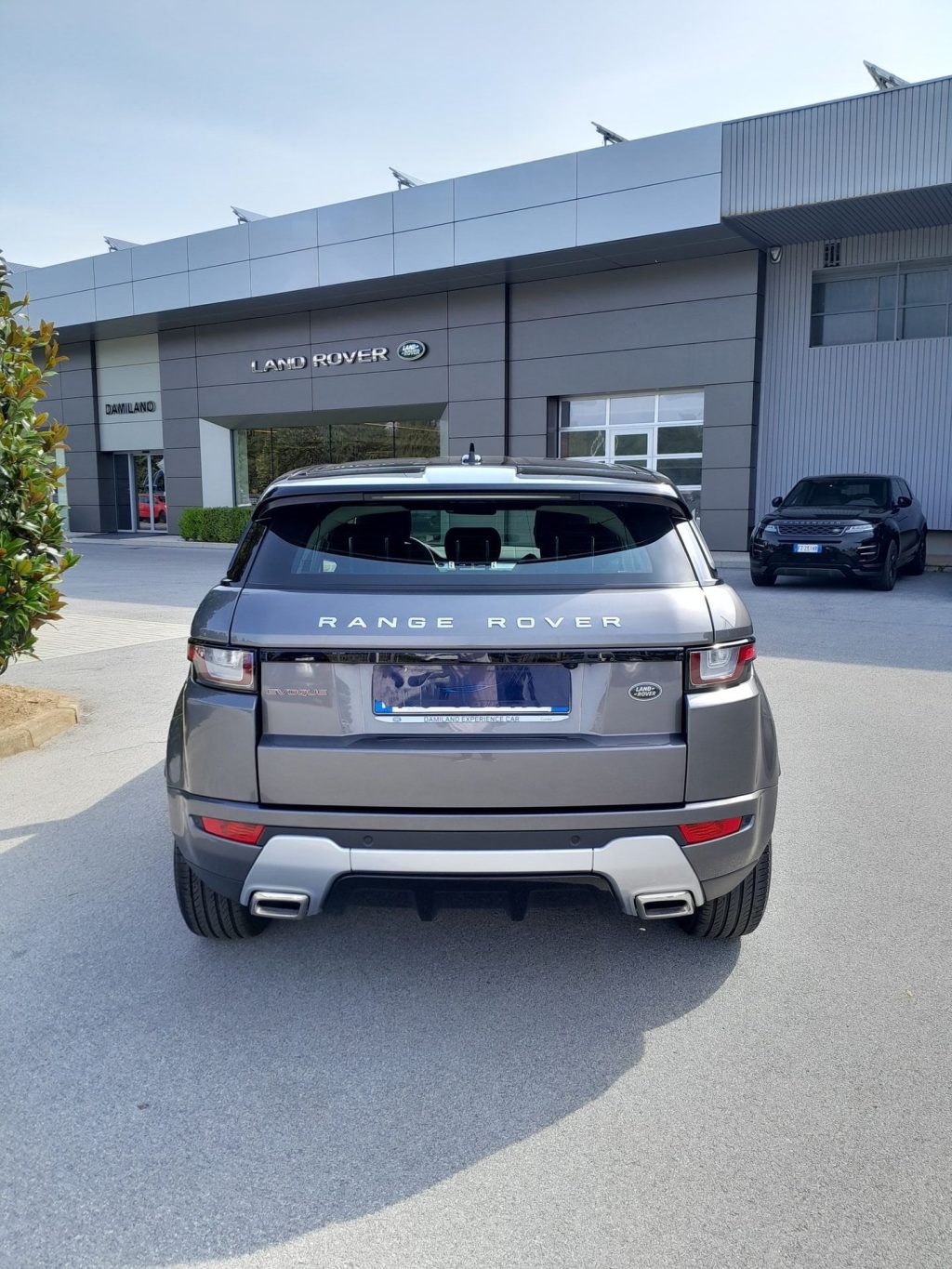LAND ROVER Range Rover Evoque 2.0 TD4 180cv 4WD SE Dynamic - 7
