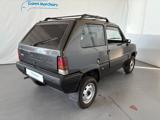 Panda 1ª serie 1100 i.e. cat 4x4