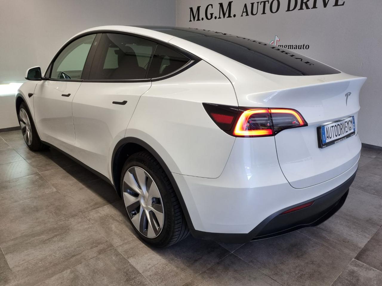 TESLA Model Y Long Range AWD - 17