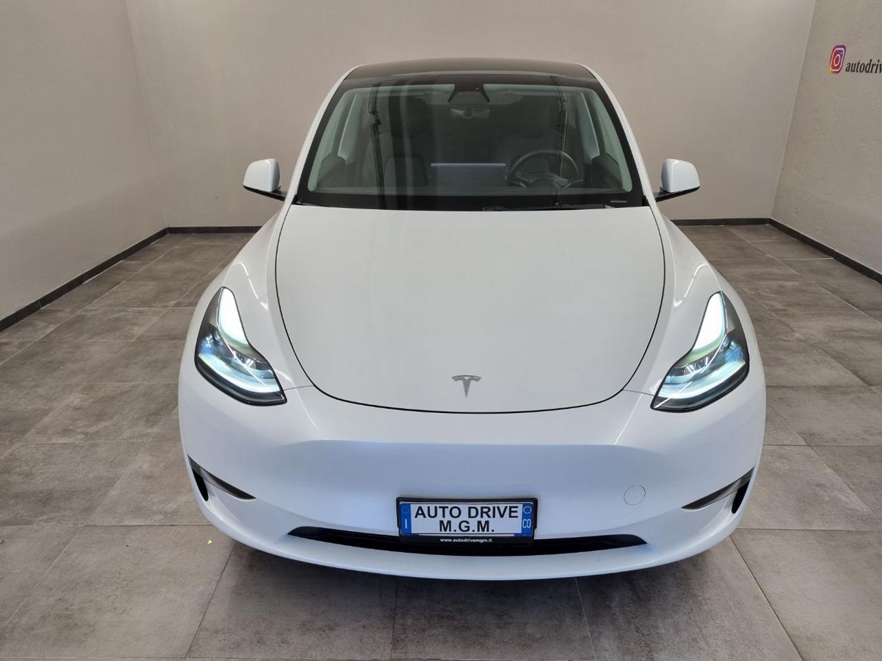 TESLA Model Y Long Range AWD - 25