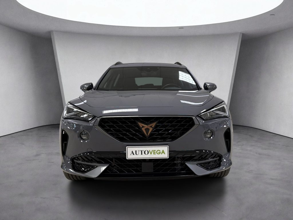 CUPRA Formentor 1.4 e-hybrid 204cv dsg - 2