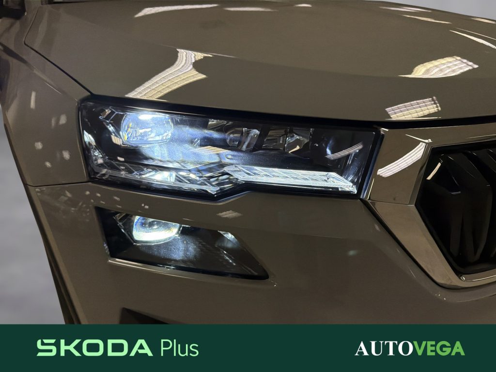 SKODA Karoq 2.0 tdi style 115cv - 19