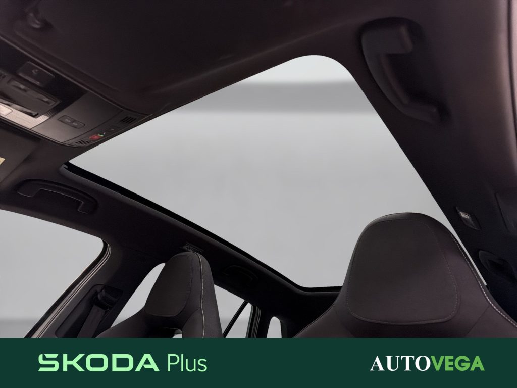 SKODA Kamiq 1.5 tsi monte carlo 150cv - 16