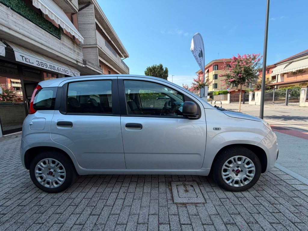 FIAT Panda 1.2 Easy GPL - 4