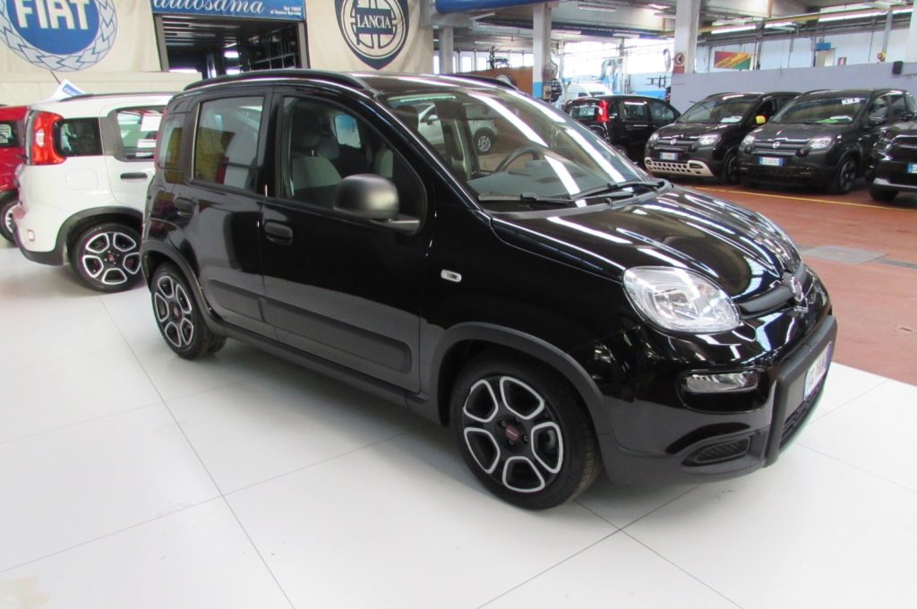 FIAT Panda 1.0 FireFly 70cv S&S Hybrid City Life AA/CP - 2