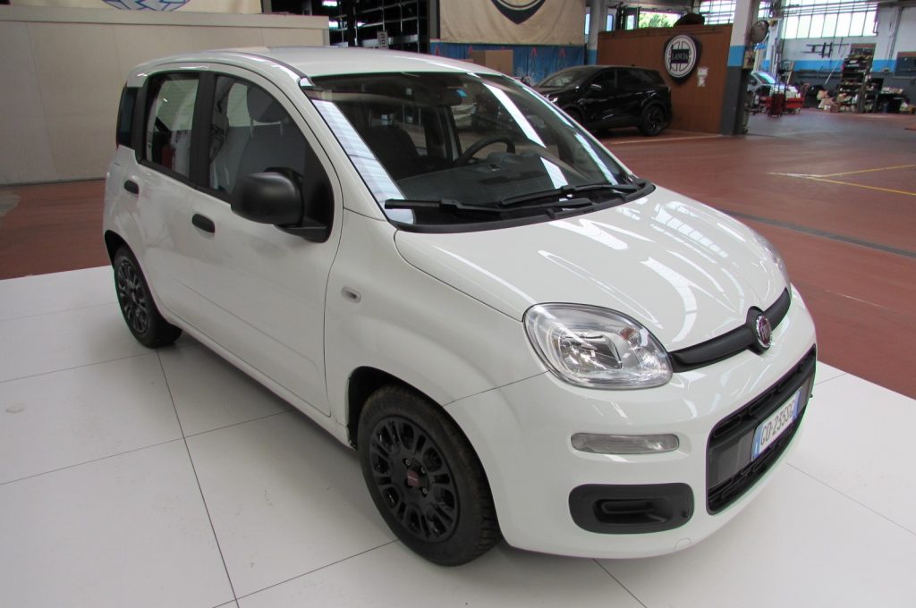 FIAT Panda 1.0 FireFly 70cv S&S Hybrid Easy - 3