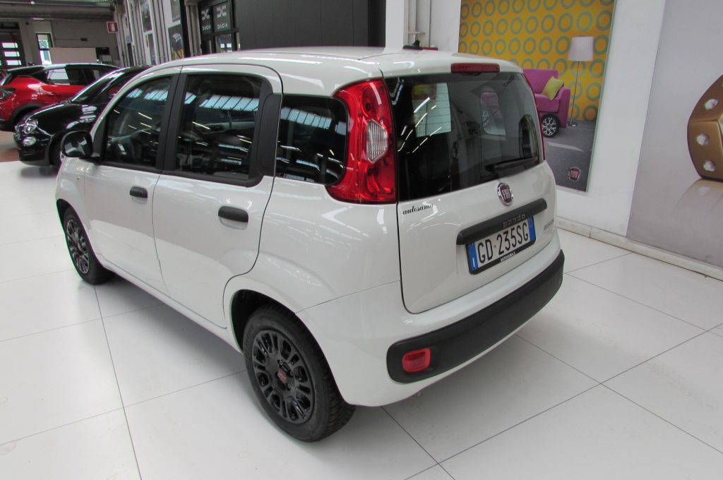FIAT Panda 1.0 FireFly 70cv S&S Hybrid Easy - 4