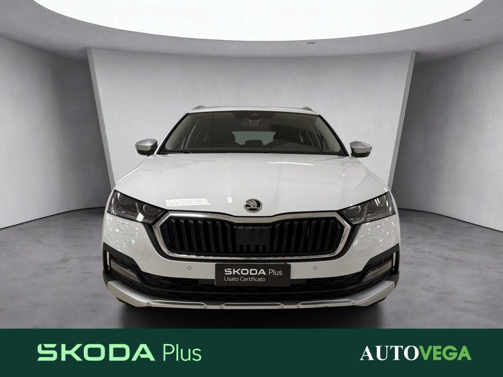 SKODA Octavia wagon 2.0 tdi evo scout 4x4 150cv dsg - 2