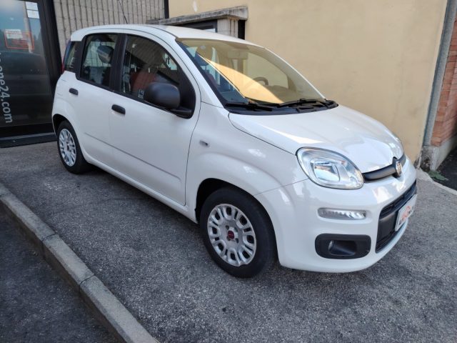 FIAT Panda Bianco pastello