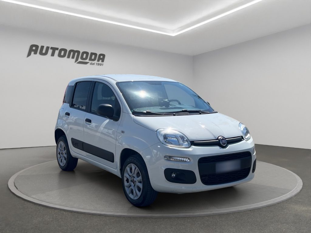 FIAT Panda Van 2 posti 4x4 - 3