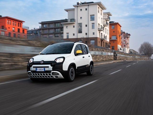 FIAT Panda amaranto pastello