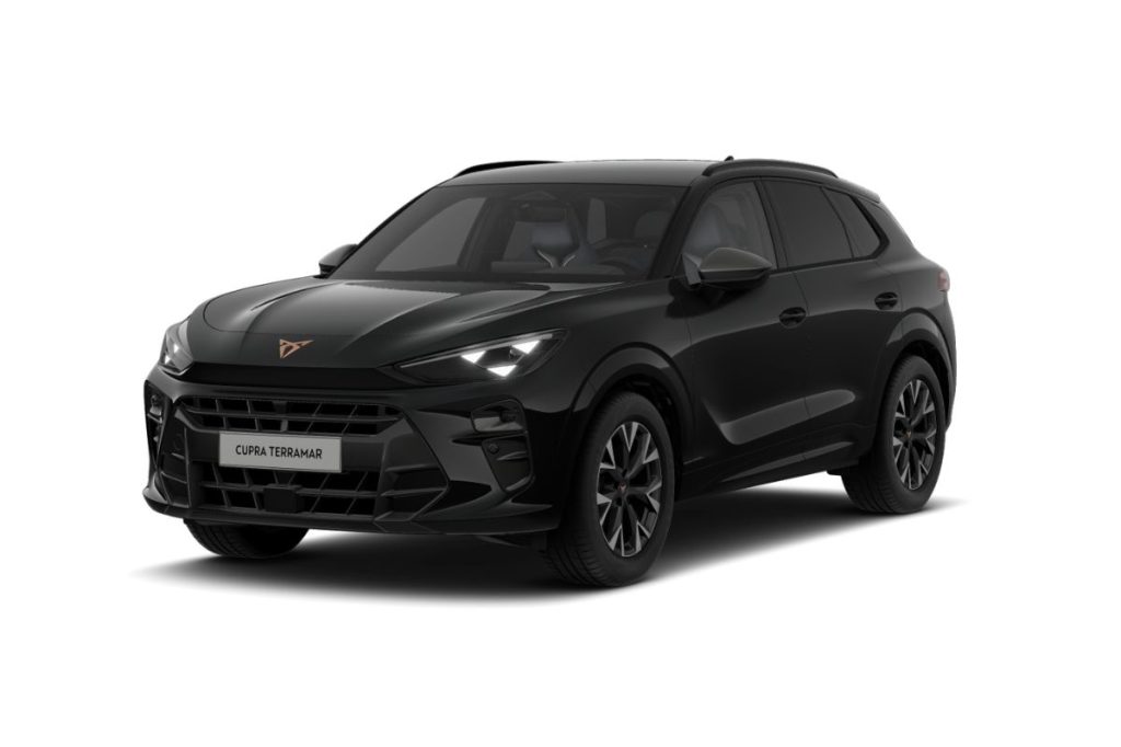 CUPRA Terramar 1.5 E-hybrid Business 204cv Dsg - 1