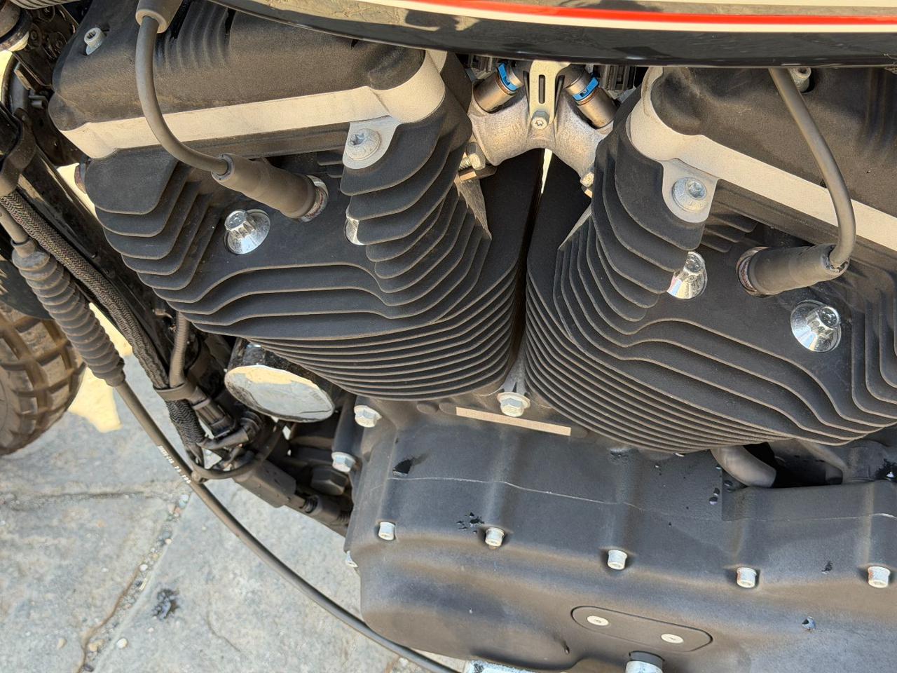 HARLEY-DAVIDSON 883 Sportster R XL 883 R - 17