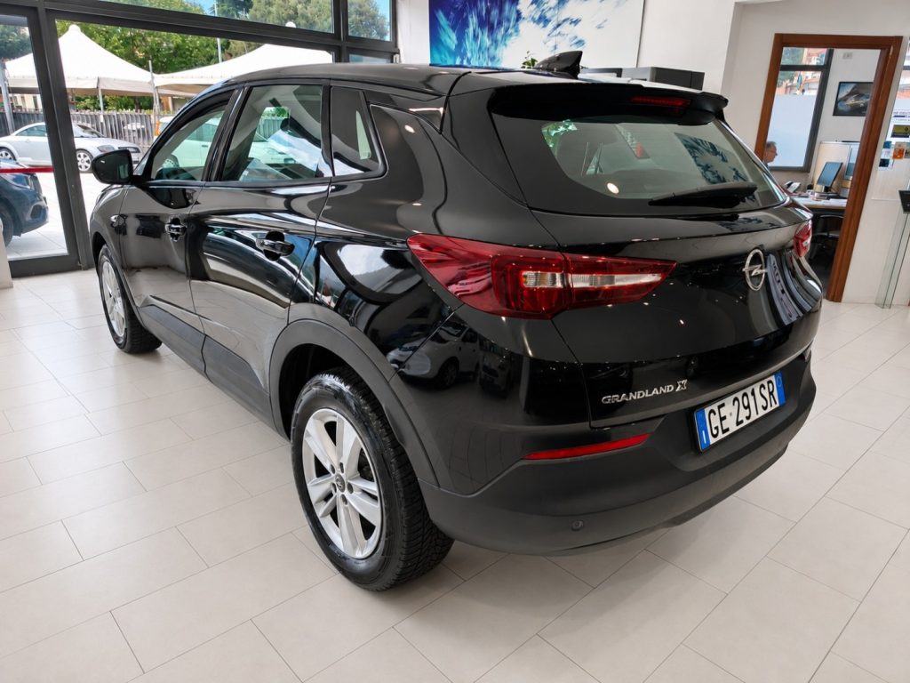 OPEL Grandland X 1.5 d Automatic 130 Cv Ultimate Pelle Navi - 19