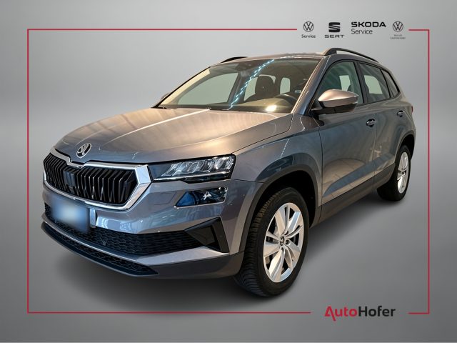 SKODA Karoq Grau metallisiert
