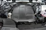 Audi Q5 40 Tdi 204 Cv Quattro S Tronic Business usata — foto 40 (40/43)