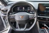 CUPRA Formentor 1.5 Tsi Dsg Certificata Italiana Ufficiale usata — foto 21 (21/31)