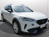 CUPRA Formentor 1.5 Tsi Dsg Certificata Italiana Ufficiale usata — foto 17 (17/31)
