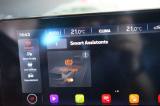 CUPRA Leon 1.5 Hybrid 150 Cv Dsg Certificata Ufficiale usata — foto 13 (13/35)