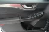 Ford Kuga 2.5 Full Hybrid 190 Cv Cvt 2wd Titanium Fhev usata — foto 34 (34/67)