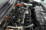 Ford Kuga 2.5 Full Hybrid 190 Cv Cvt 2wd Titanium Fhev usata — foto 63 (63/67)
