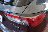 Ford Kuga 2.5 Plug-in 190 Cv Cvt 2wd St-line usata — foto 22 (22/41)
