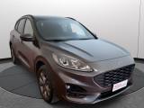 Ford Kuga 2.5 Plug-in 190 Cv Cvt 2wd St-line usata — vista posteriore (3/41)