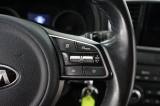 Kia Sportage 1.6 Crdi 136 Cv 2wd Dct Mild Hybrid Business Class usata — foto 48 (48/65)