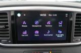Kia Sportage 1.6 Crdi 136 Cv 2wd Mild Hybrid Business Class usata — foto 13 (13/67)