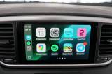 Kia Sportage 1.6 Crdi 136 Cv 2wd Mild Hybrid Business Class usata — foto 11 (11/67)