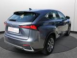 Lexus Nx 300h Hybrid 4wd Premium Certificata Ufficiale Italia usata — foto 16 (16/36)
